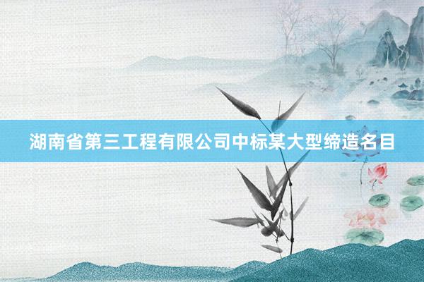 湖南省第三工程有限公司中标某大型缔造名目